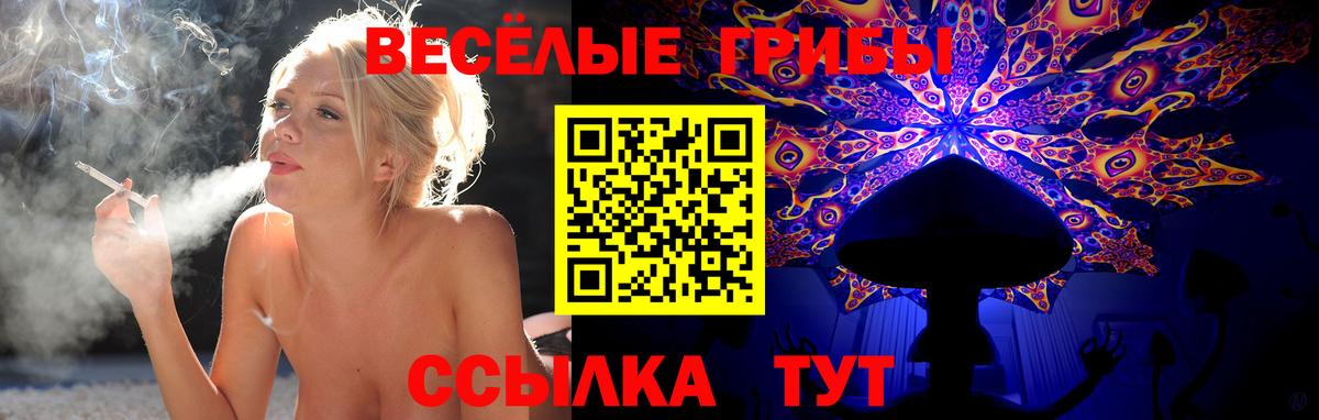 Галлюциногенные грибы MAGIC MUSHROOMS  Вход с VPN  наркота  Уссурийск 