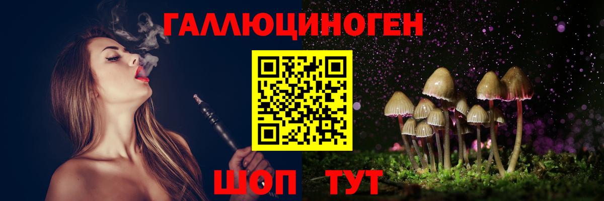 Галлюциногенные грибы Psilocybine cubensis Уссурийск